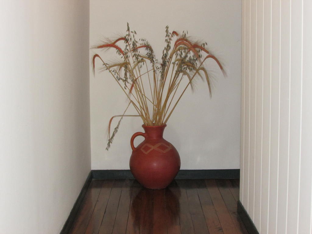 Hotel Casa Leon 2*