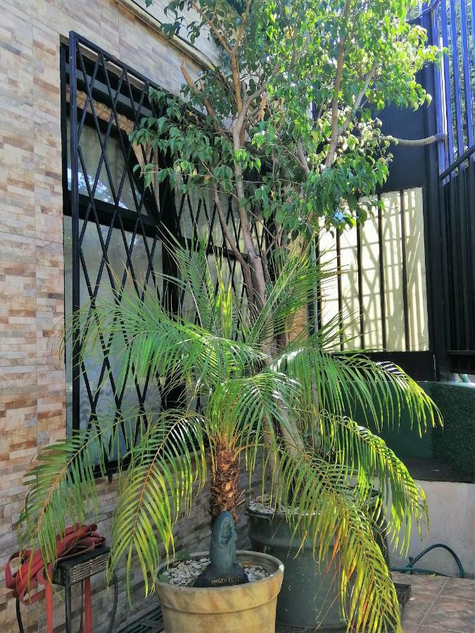 Casa Leon Hotel